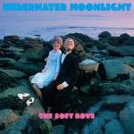 The Soft Boys, 'Underwater Moonlight'