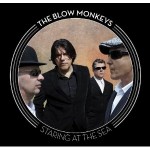 The Blow Monkeys, 'Staring at the Sea'