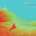 The Flaming Lips, 'The Terror'