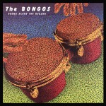The Bongos