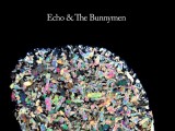 New releases: Echo & The Bunnymen, Depeche Mode, They Might Be Giants, 7 Seconds
