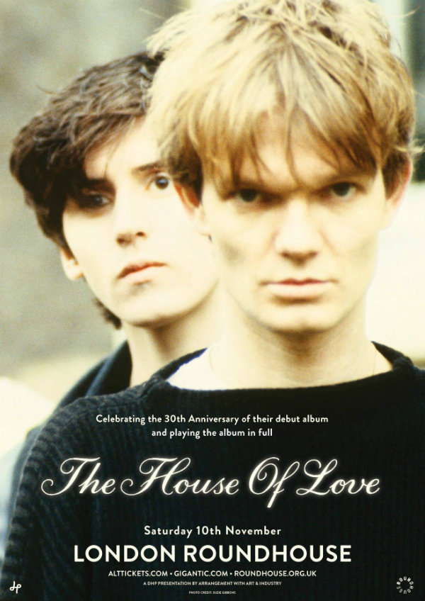 20 Questions Answered About this house of love