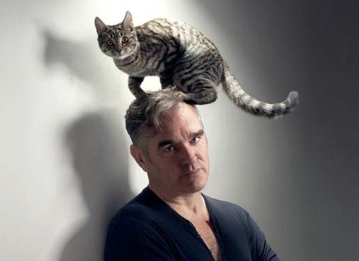 Hey, look, it’s another picture of Morrissey with a cat sitting on top of his head